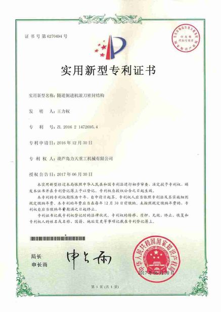 China Litian Heavy Industry Machinery Co., Ltd. zertifizierungen