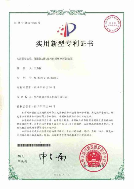 China Litian Heavy Industry Machinery Co., Ltd. zertifizierungen